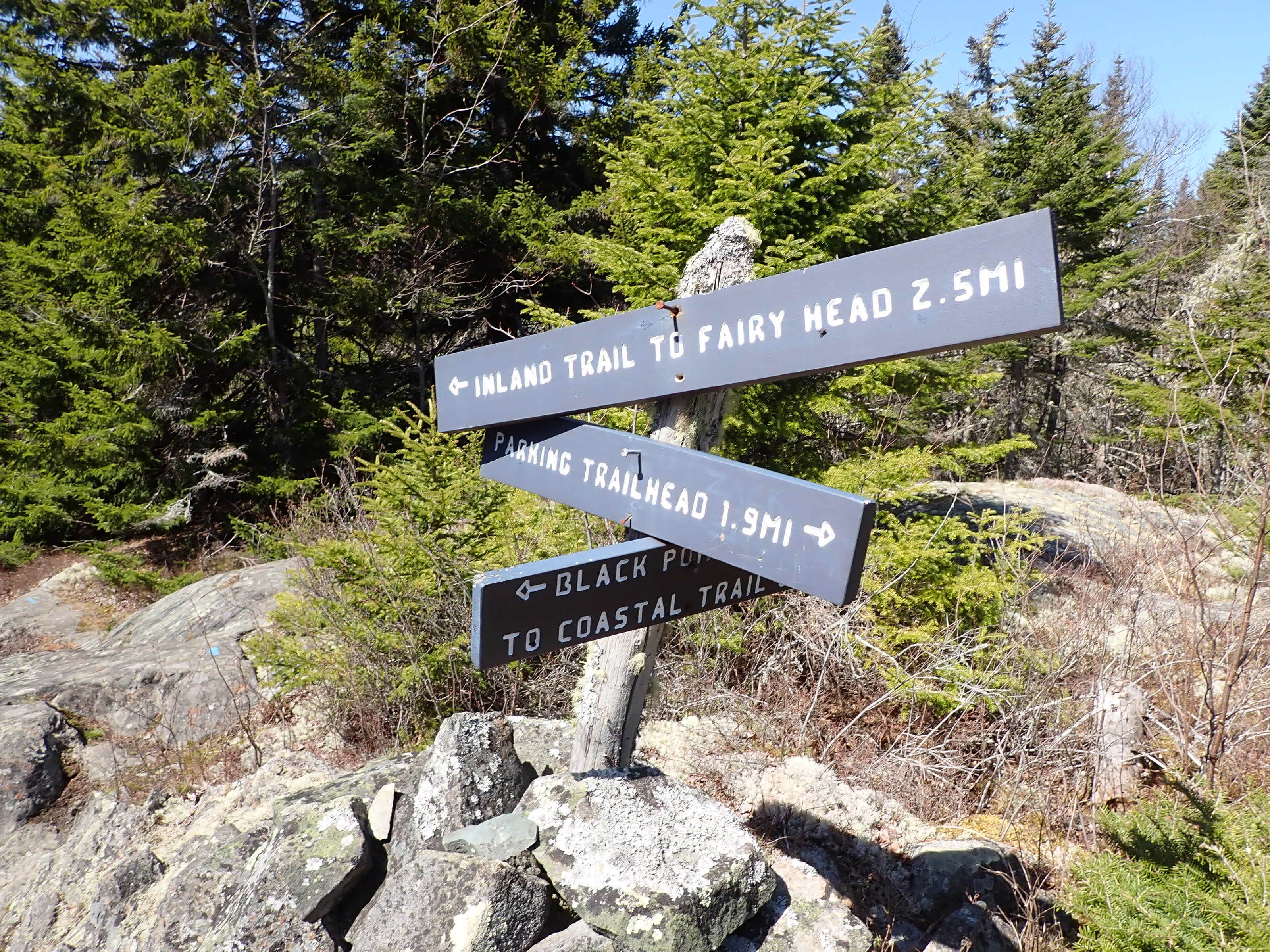 Camper-submitted photo at Long Point — Cutler Coast Ecological Reserve near Eastport, ME