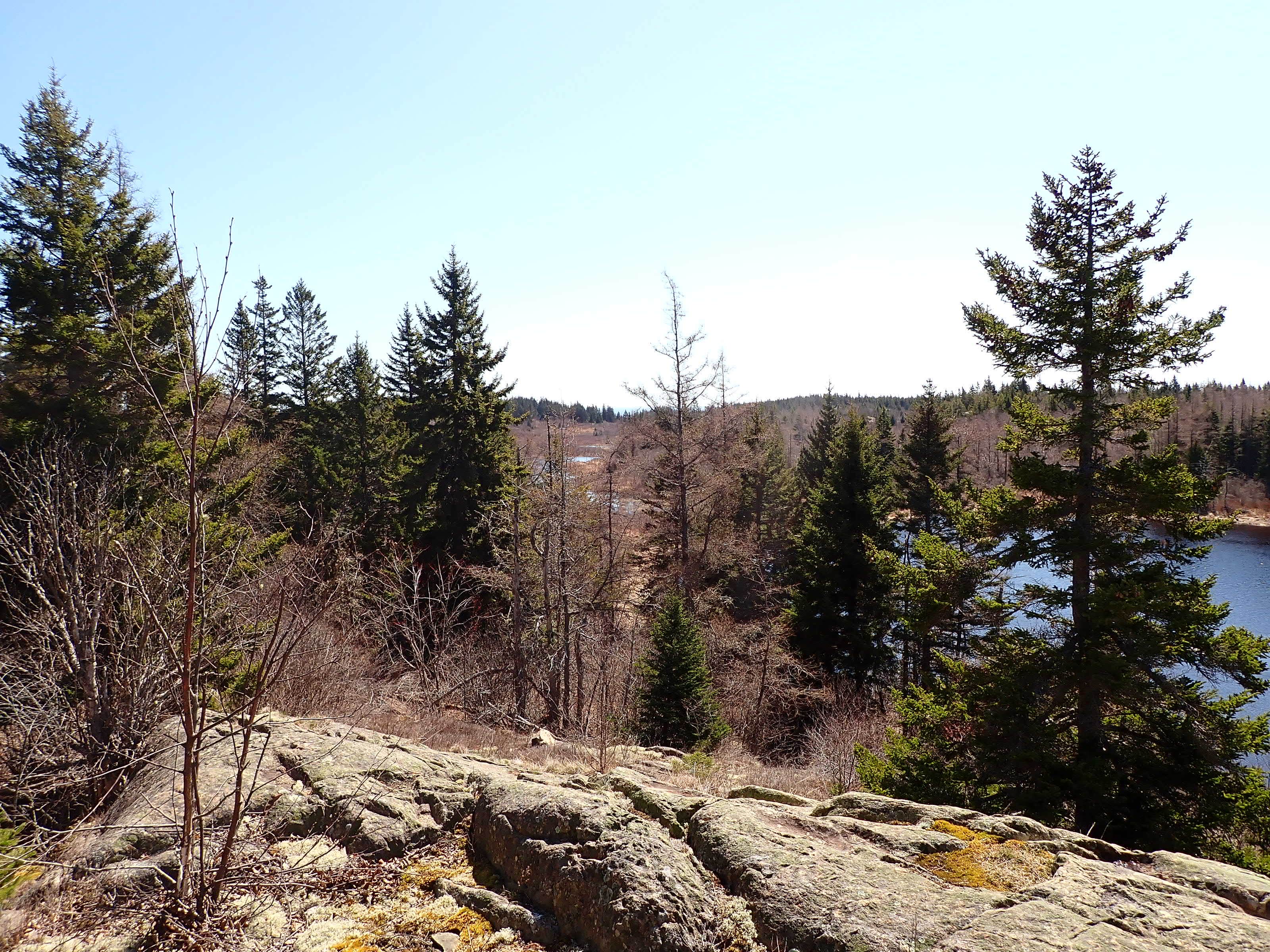 Camper-submitted photo at Long Point — Cutler Coast Ecological Reserve near Eastport, ME