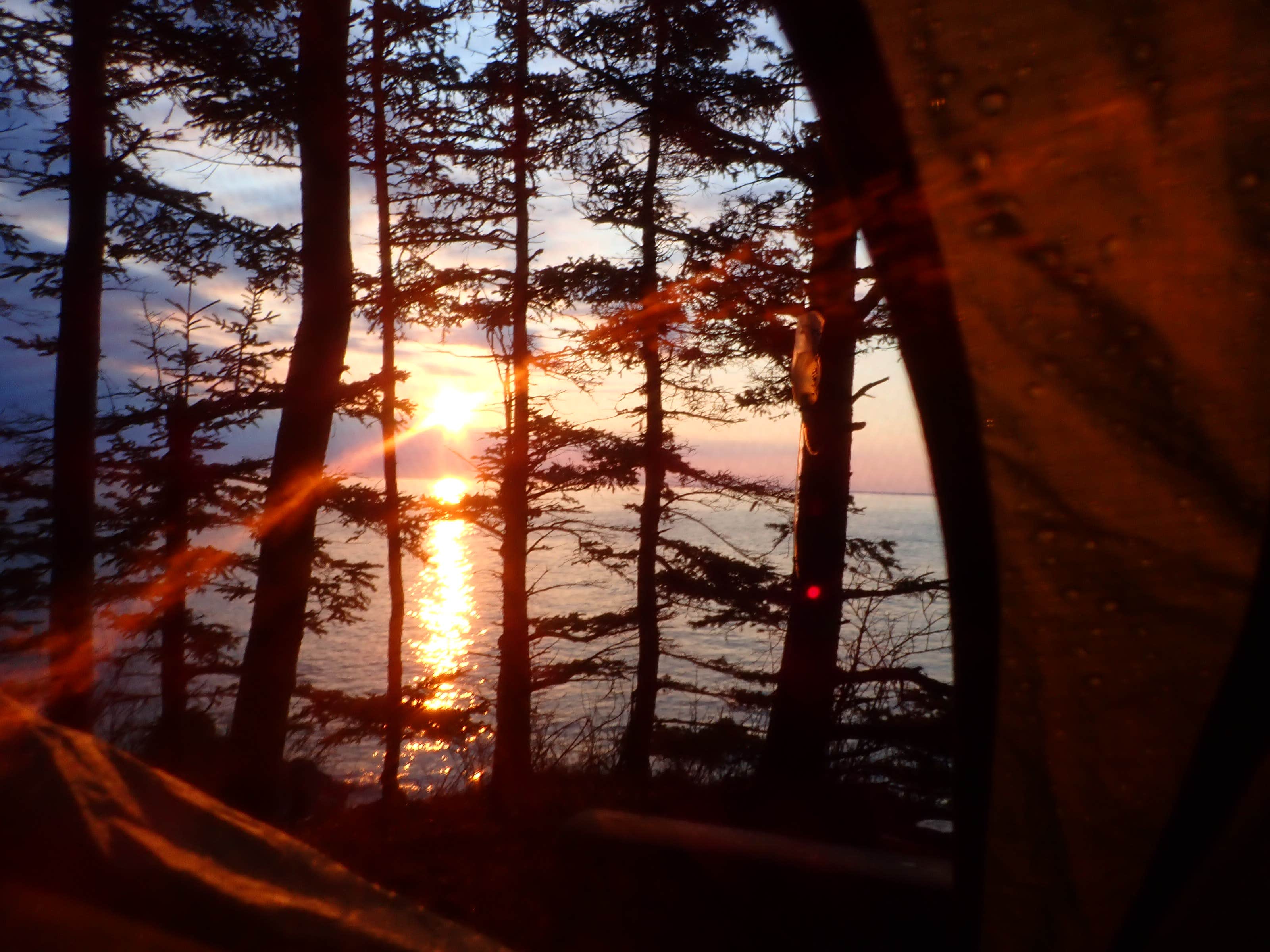 Sarah C.'s photo of a dispersed camping area at Long Point — Cutler Coast Ecological Reserve in Maine