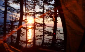 Sarah C.'s photo of a dispersed camping area at Long Point — Cutler Coast Ecological Reserve in Maine