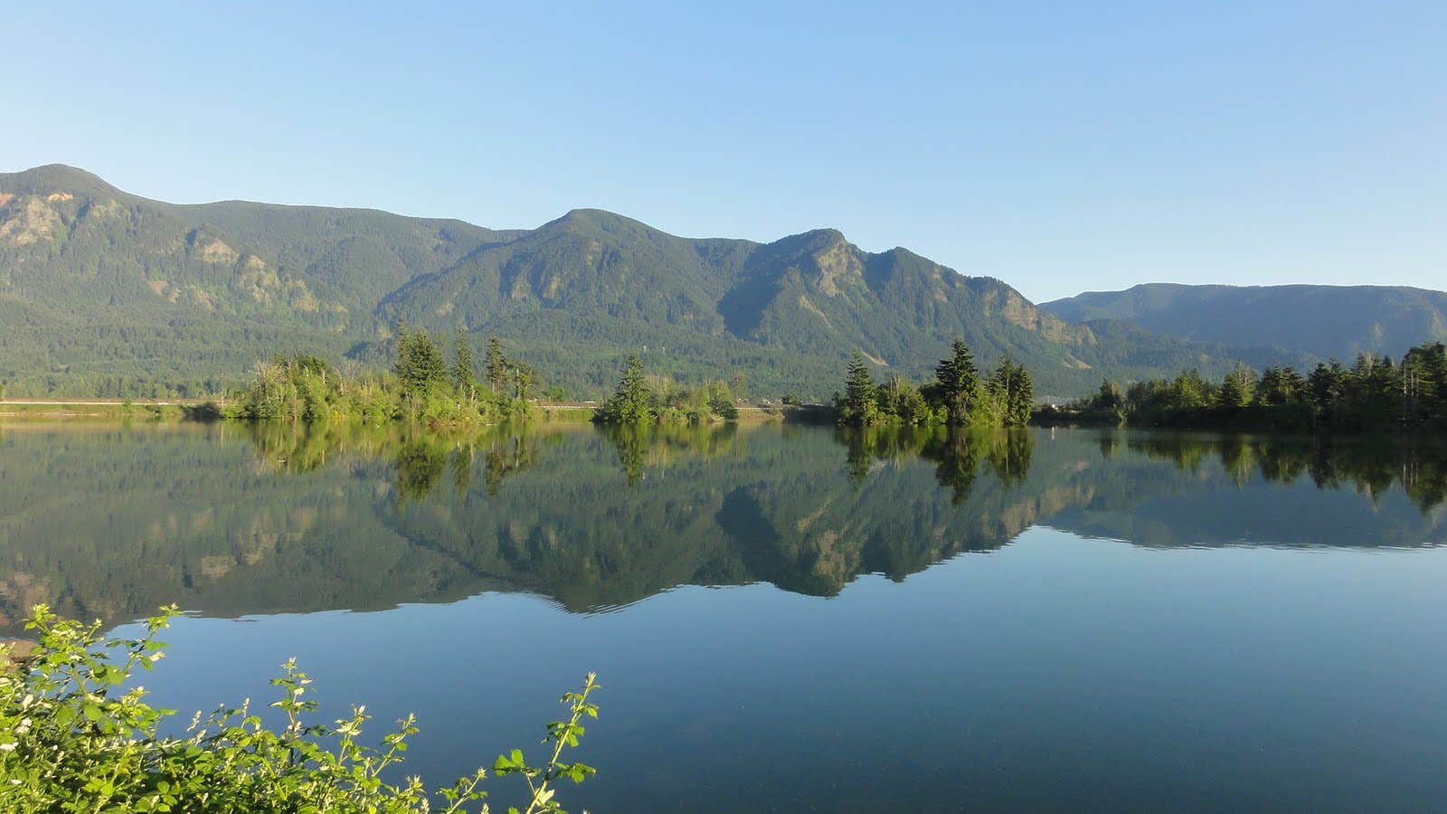 Camper submitted image from Skamania County Fairgrounds - 5