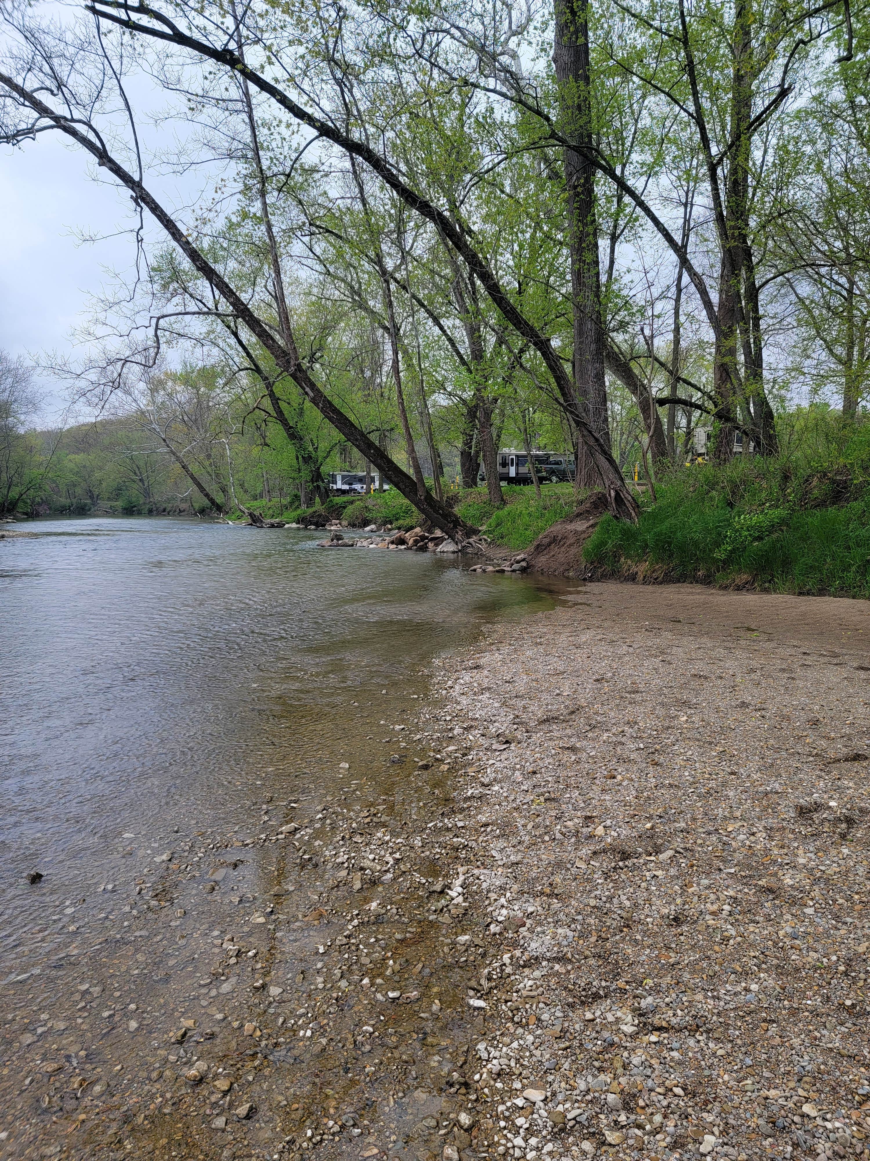 Camper submitted image from Sugar Creek Campground - 4