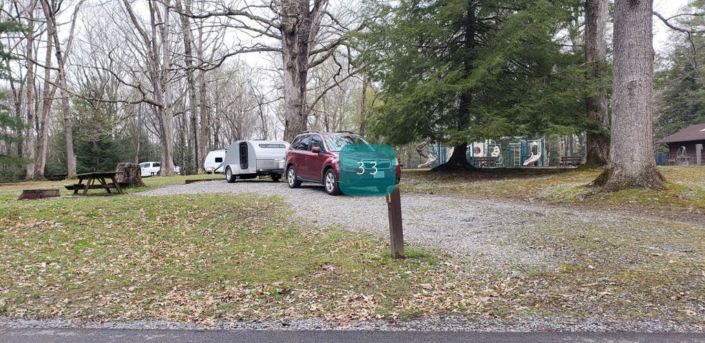 Camper submitted image from Babcock State Park Campground - 1