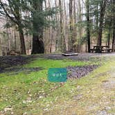 Review photo of Babcock State Park Campground by Jean C., May 1, 2021