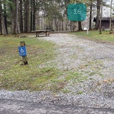 Review photo of Babcock State Park Campground by Jean C., May 1, 2021