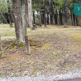 Review photo of Babcock State Park Campground by Jean C., May 1, 2021