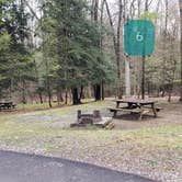 Review photo of Babcock State Park Campground by Jean C., May 1, 2021