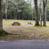 Review photo of Babcock State Park Campground by Jean C., May 1, 2021