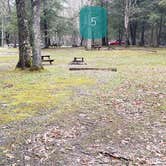 Review photo of Babcock State Park Campground by Jean C., May 1, 2021