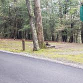 Review photo of Babcock State Park Campground by Jean C., May 1, 2021