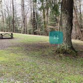 Review photo of Babcock State Park Campground by Jean C., May 1, 2021