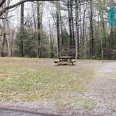 Review photo of Babcock State Park Campground by Jean C., May 1, 2021