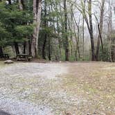 Review photo of Babcock State Park Campground by Jean C., May 1, 2021