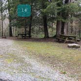 Review photo of Babcock State Park Campground by Jean C., May 1, 2021