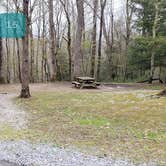 Review photo of Babcock State Park Campground by Jean C., May 1, 2021