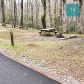 Review photo of Babcock State Park Campground by Jean C., May 1, 2021