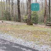 Review photo of Babcock State Park Campground by Jean C., May 1, 2021