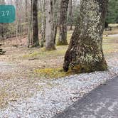 Review photo of Babcock State Park Campground by Jean C., May 1, 2021