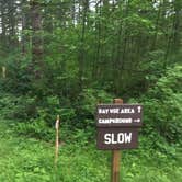 Review photo of Cold Creek Campground by Bjorn S., June 1, 2018