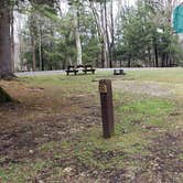 Review photo of Babcock State Park Campground by Jean C., May 1, 2021