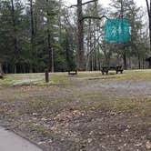 Review photo of Babcock State Park Campground by Jean C., May 1, 2021