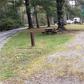 Review photo of Babcock State Park Campground by Jean C., May 1, 2021