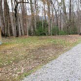 Review photo of Babcock State Park Campground by Jean C., May 1, 2021