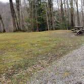 Review photo of Babcock State Park Campground by Jean C., May 1, 2021