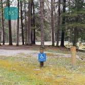 Review photo of Babcock State Park Campground by Jean C., May 1, 2021