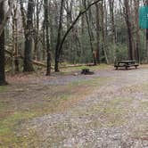 Review photo of Babcock State Park Campground by Jean C., May 1, 2021