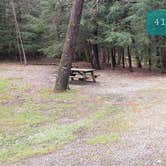 Review photo of Babcock State Park Campground by Jean C., May 1, 2021