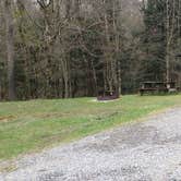 Review photo of Babcock State Park Campground by Jean C., May 1, 2021