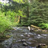 Review photo of Cold Creek Campground by Bjorn S., June 1, 2018