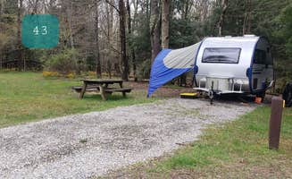Jean C.'s photo at Babcock State Park Campground near Ansted, WV