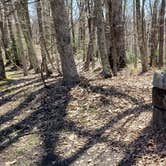 Review photo of Babcock State Park Campground by Jean C., May 1, 2021