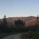 Review photo of Cold Creek Campground by Bjorn S., June 1, 2018