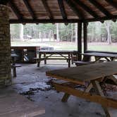 Review photo of Babcock State Park Campground by Jean C., May 1, 2021