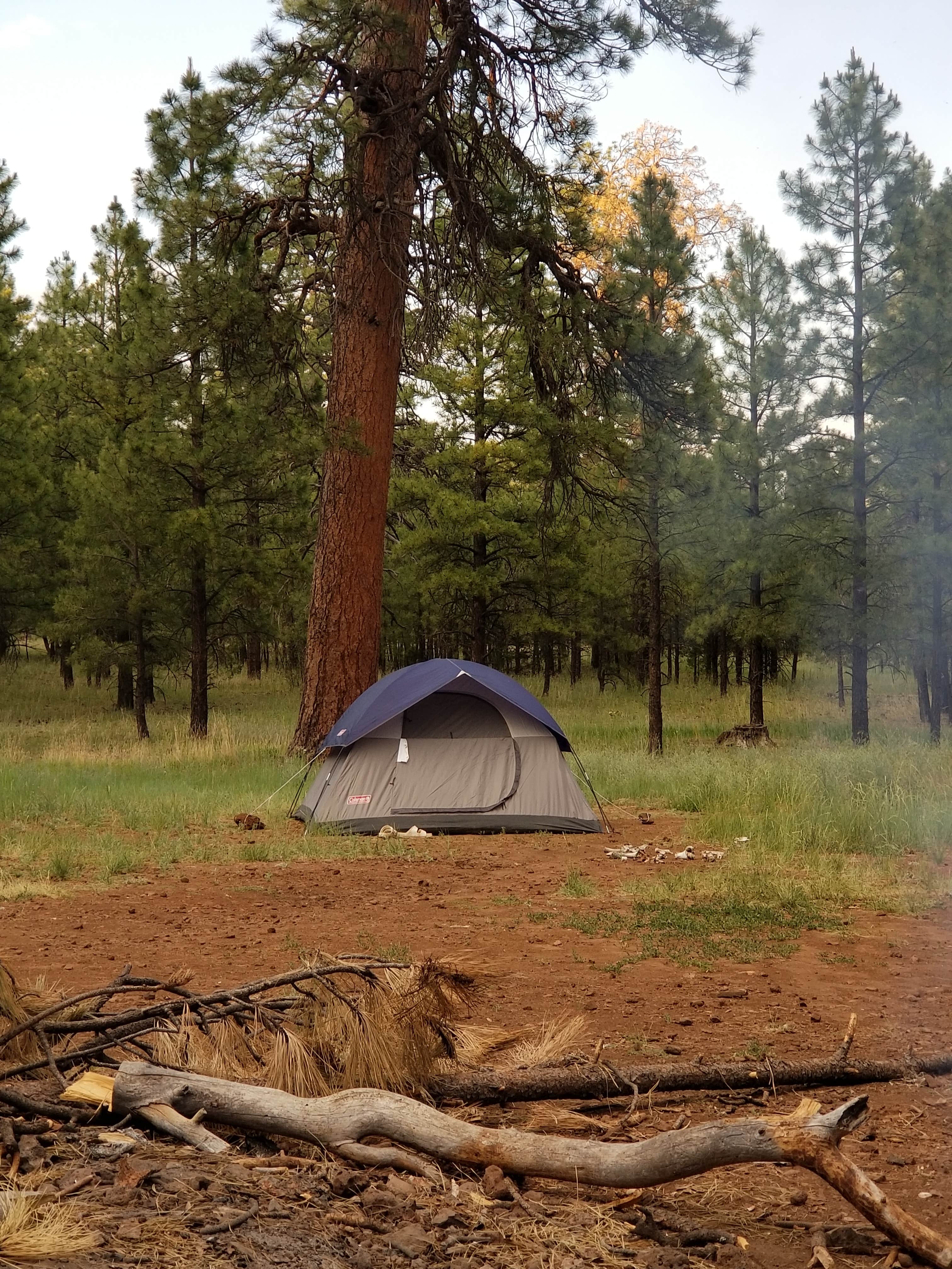 Arizona’s Kinnikinick Campground: A Gateway To Scenic Beauty And Adventure