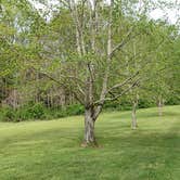 Review photo of Burnwood - Group — New River Gorge National Park and Preserve by Jean C., May 1, 2021