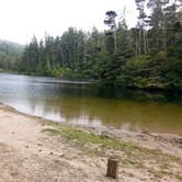 Review photo of Umpqua Lighthouse State Park Campground by Holly C., May 1, 2021