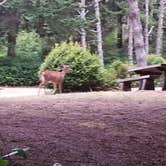 Review photo of Umpqua Lighthouse State Park Campground by Holly C., May 1, 2021