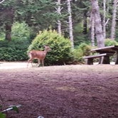 Review photo of Umpqua Lighthouse State Park Campground by Holly C., May 1, 2021