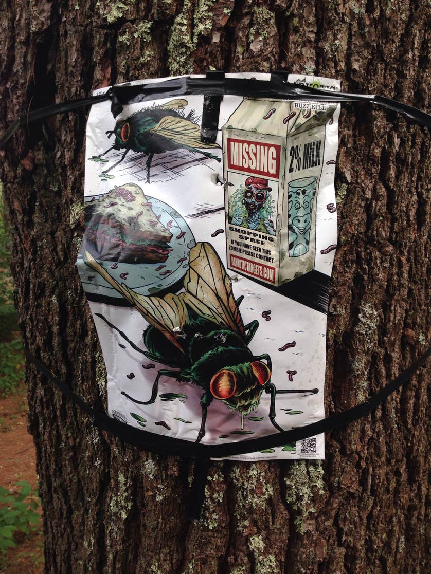 Myles Standish State Forest Camping | The Dyrt