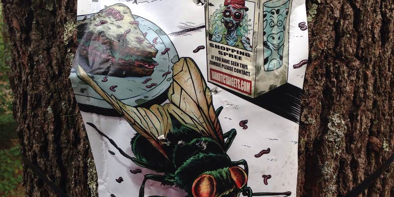 Camper submitted image from Charge Pond Campground — Myles Standish State Forest