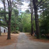 Review photo of Charge Pond Campground — Myles Standish State Forest by J   G., May 1, 2021