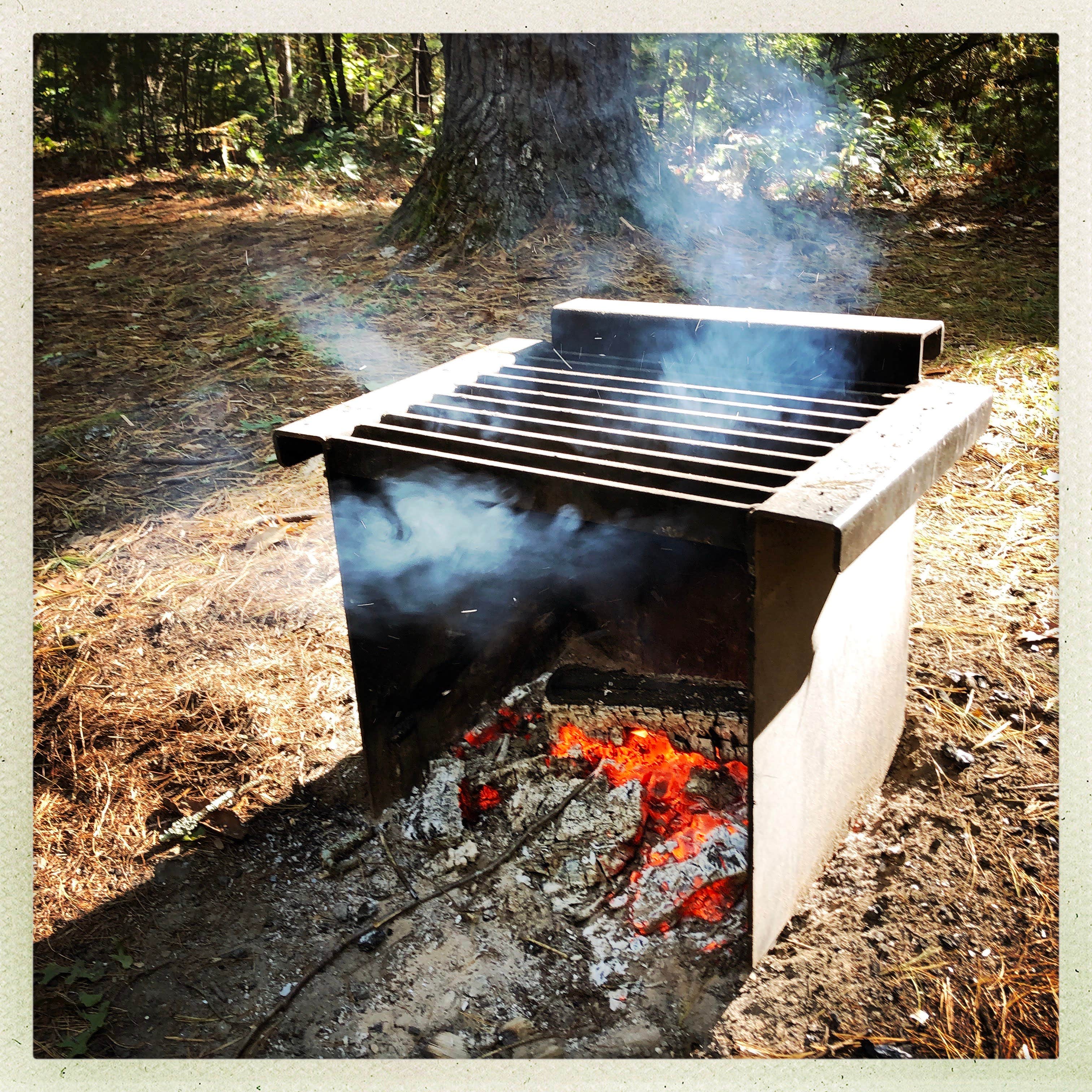 Camper-submitted photo at Lorraine Park Campground — Harold Parker State Forest near Methuen Town, MA