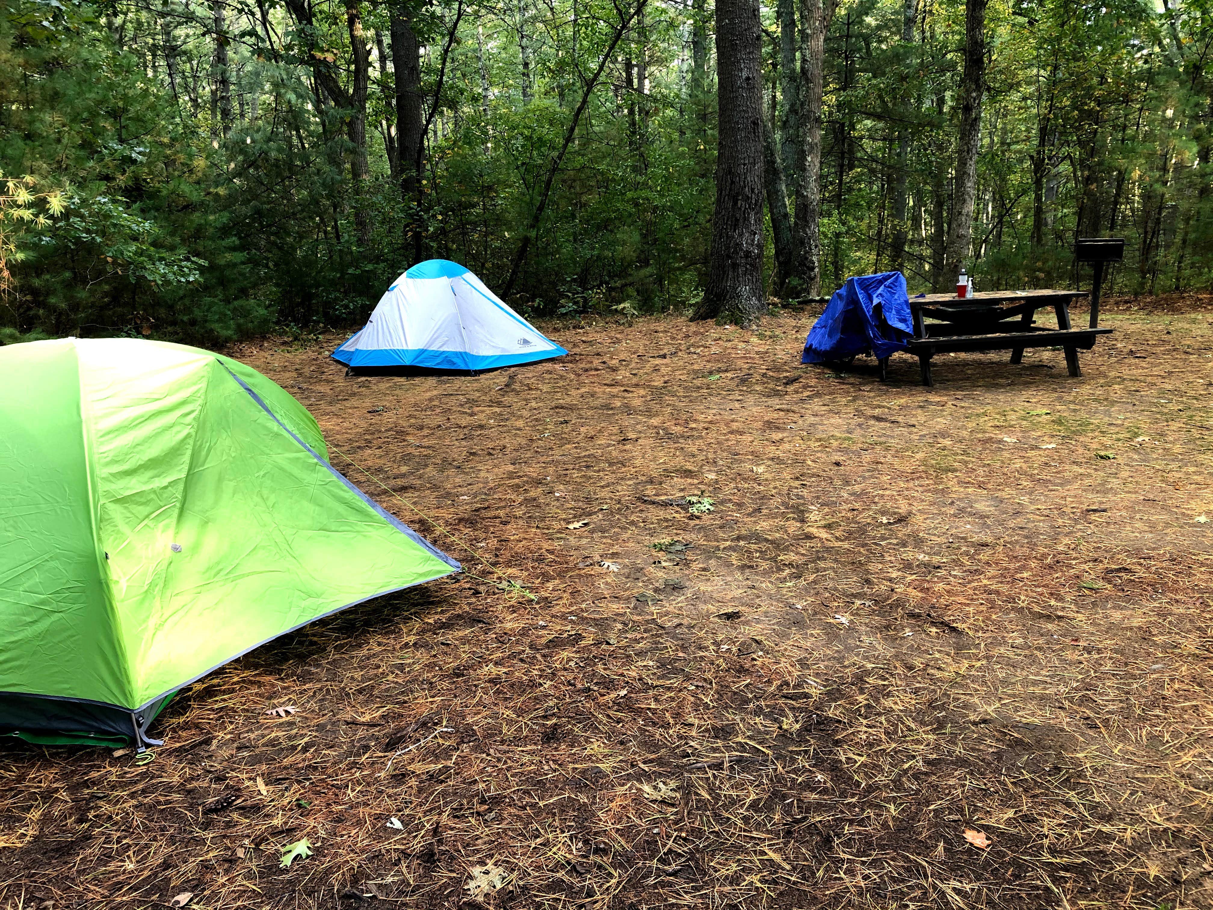 J   G.'s photo at Lorraine Park Campground — Harold Parker State Forest near Ayer, MA