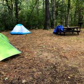 Review photo of Lorraine Park Campground — Harold Parker State Forest by J   G., May 1, 2021