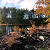 Review photo of Lorraine Park Campground — Harold Parker State Forest by J   G., May 1, 2021