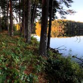 Review photo of Lorraine Park Campground — Harold Parker State Forest by J   G., May 1, 2021